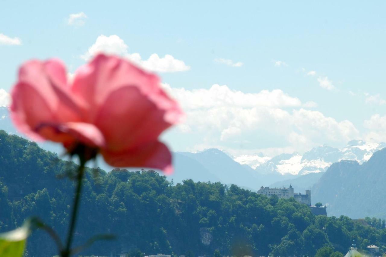 Haus Salzburgblick Panzió Kültér fotó